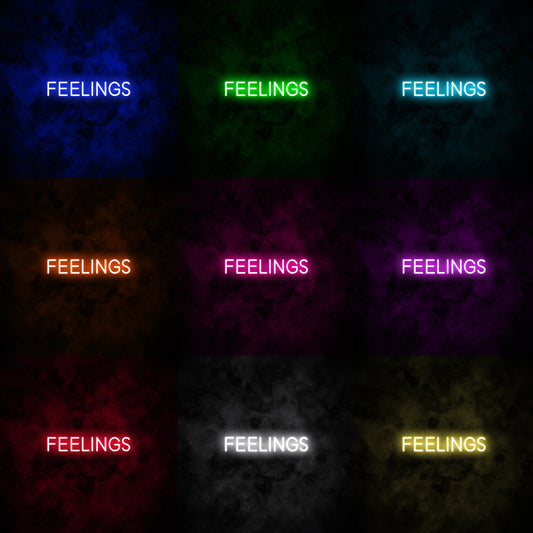"FEELINGS" Neon Sign