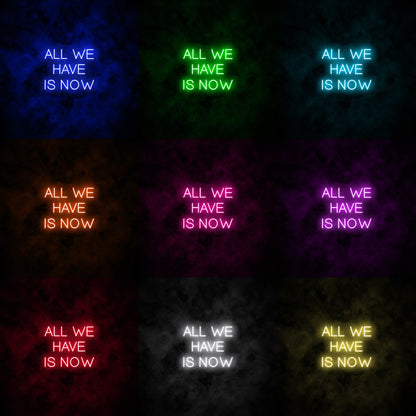 "All we have is now" Neon Sign