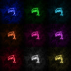 "Dolphin" Neon Sign