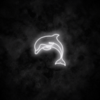 "Dolphin" Neon Sign